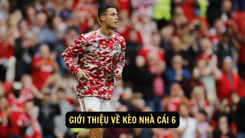 Kèo Nhà Cái 6: Cập Nhật Mới Nhất Và Phân Tích Chi Tiết 2 Giới thiệu về kèo nhà cái 6